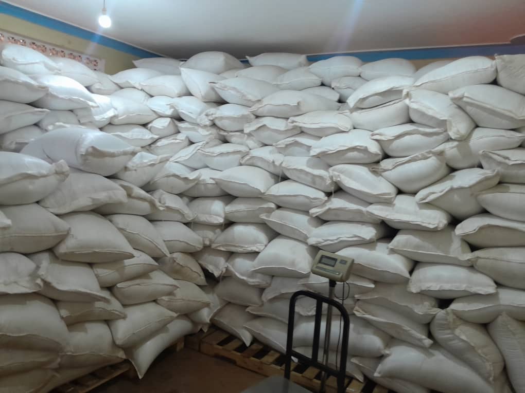 Organic Sesame Seeds